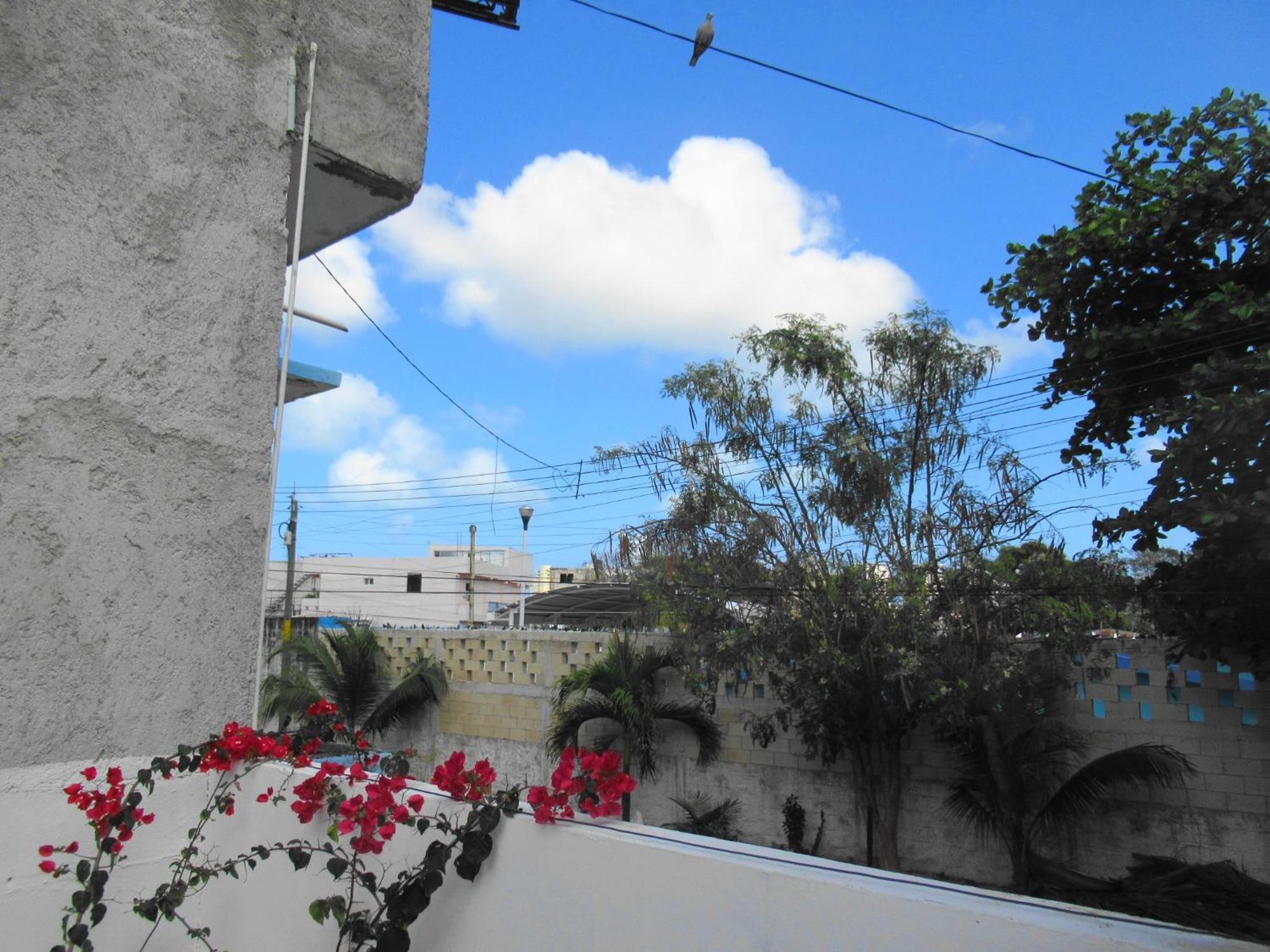 Cocos Daire Cancun Dış mekan fotoğraf