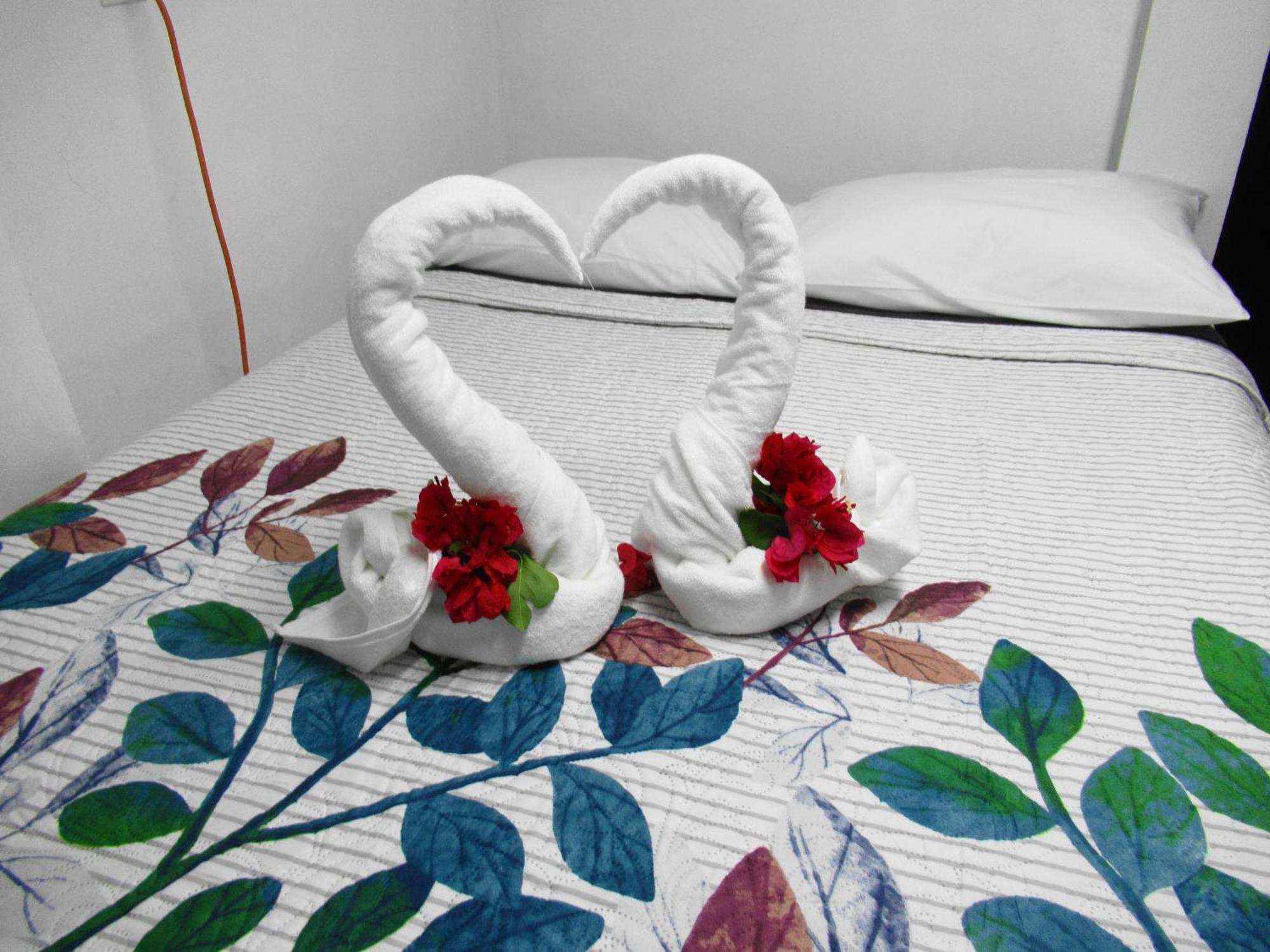 Cocos Daire Cancun Dış mekan fotoğraf