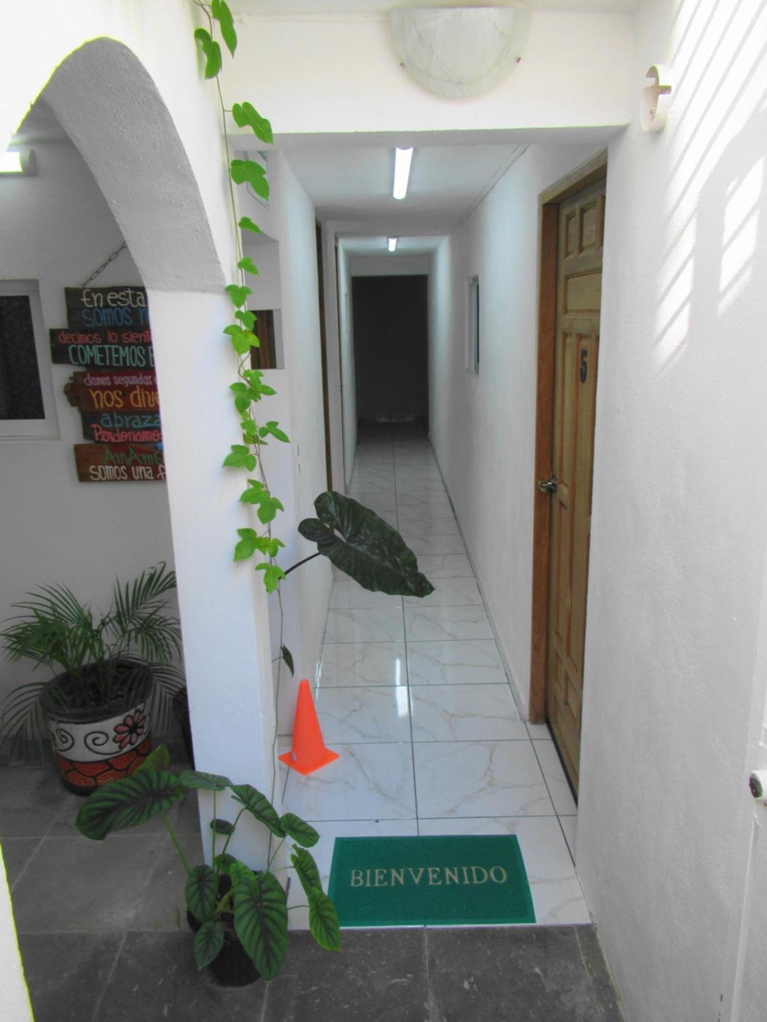 Cocos Daire Cancun Dış mekan fotoğraf